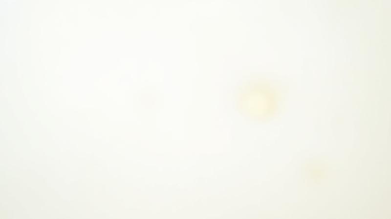 Example of elegant Spencerian script calligraphy reading 'You are invited to'