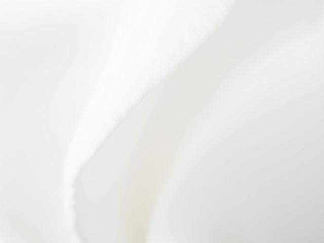 Close-up of thick, soft, 100% cotton paper texture